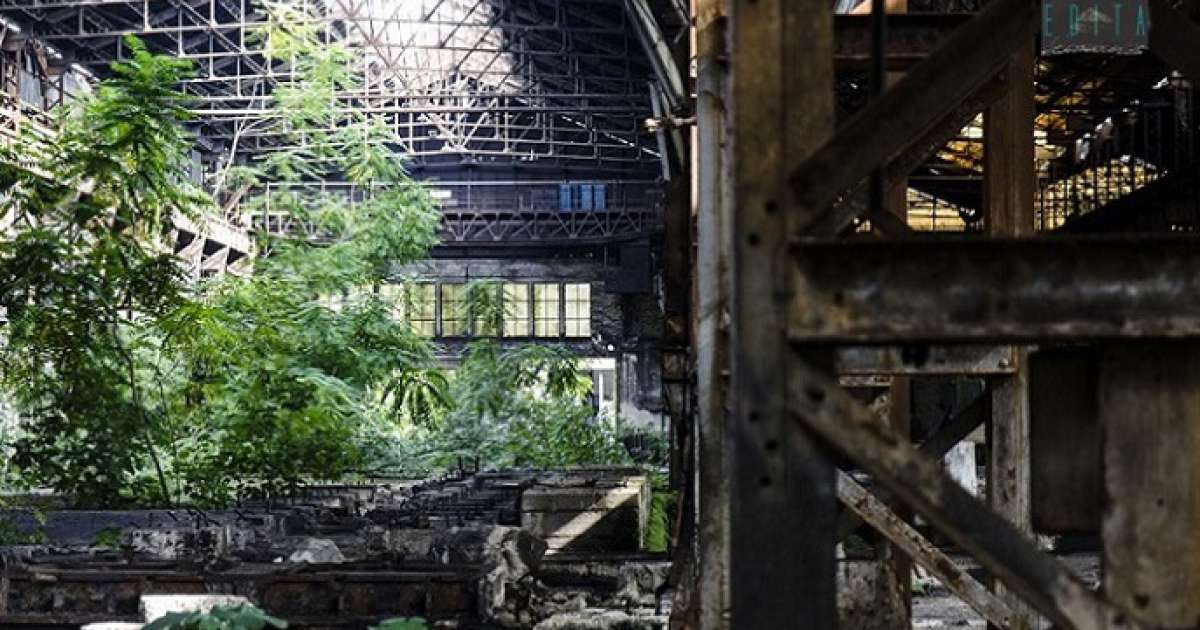Bari, l'affascinante scenario apocalittico delle ex acciaierie Scianatico: le foto